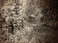 Oxleas path