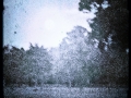 parkland1