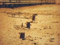 River at Greenwich